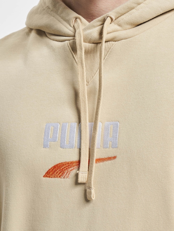 Puma Downtown Logo Tr Hoodie-3