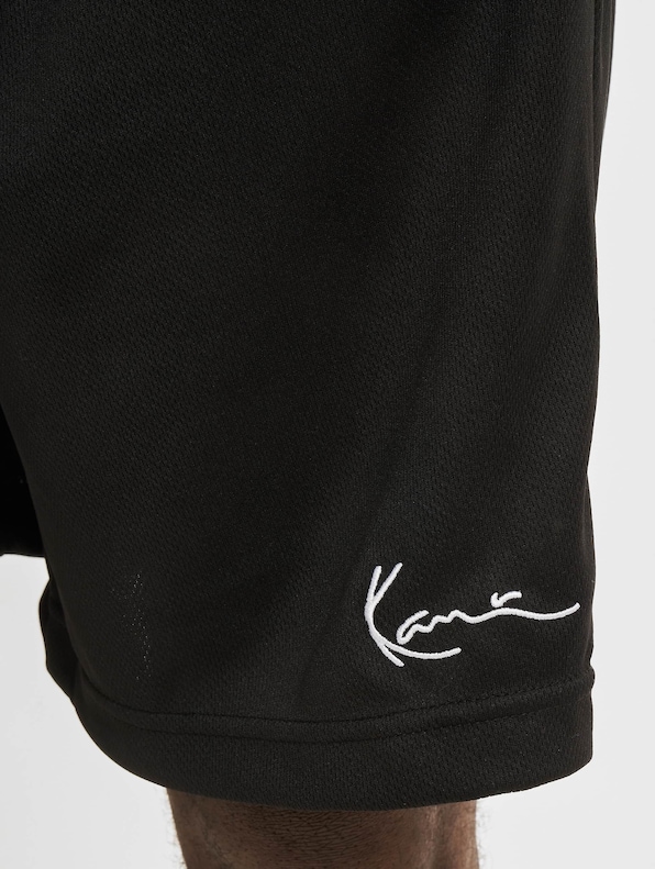 Small Signature Mesh-4