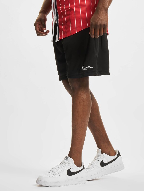 Small Signature Mesh-0