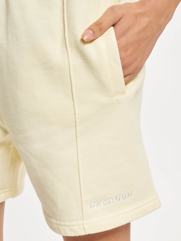 Sully High Waisted-4