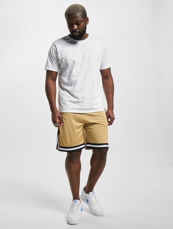 Small Signature Essential Mesh-5