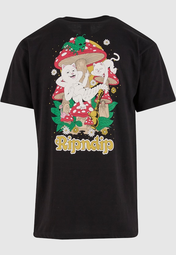 Caterpiller Garden -5