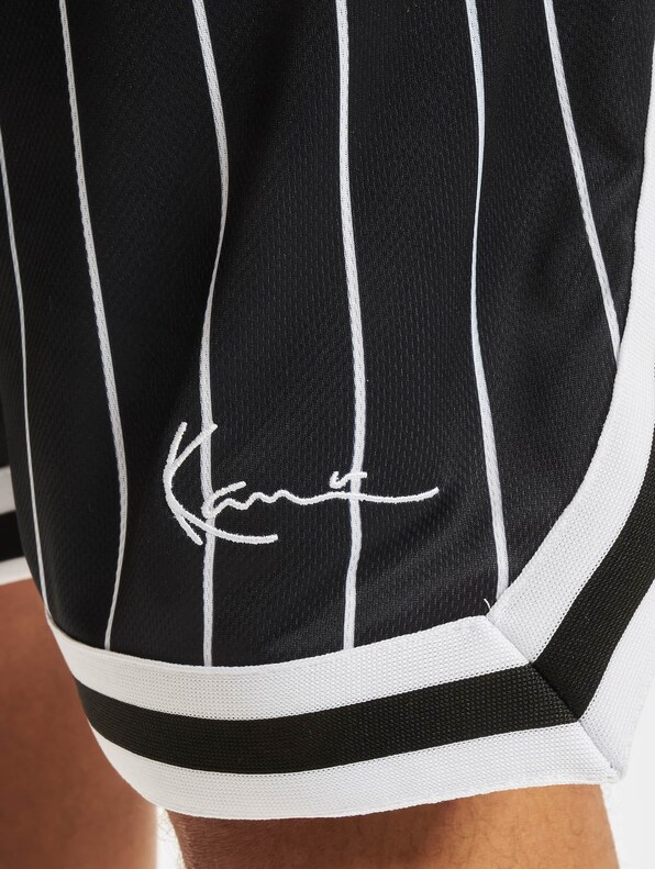 Small Signature Pinstripe Mesh-5
