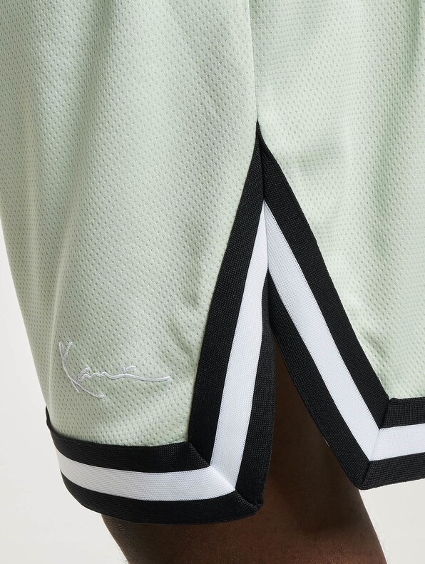 Small Signature Essential Mesh-4