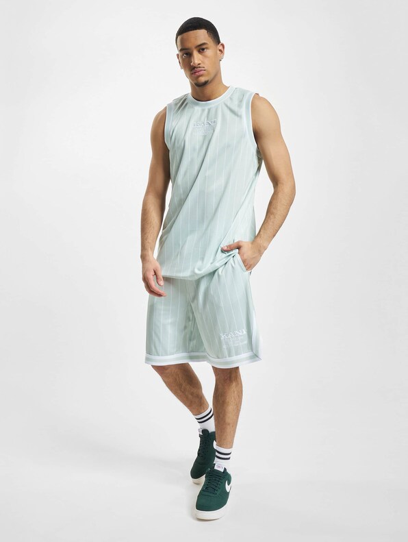 Retro Pinstripes Mesh -6