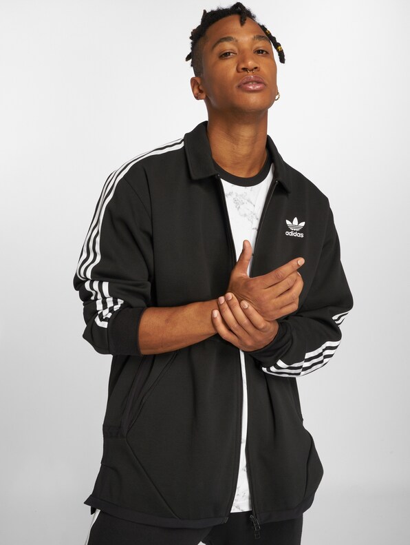 Windsor Tt Transition -0