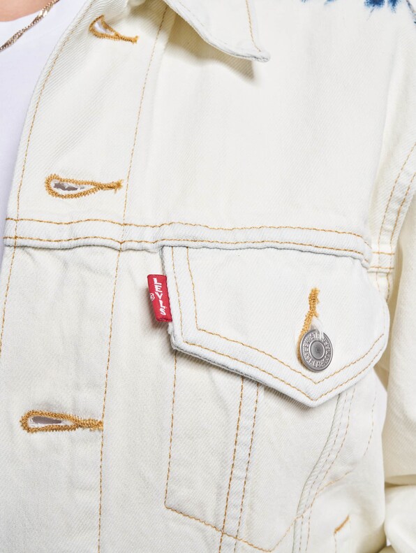 Ex Boyfriend Trucker-3