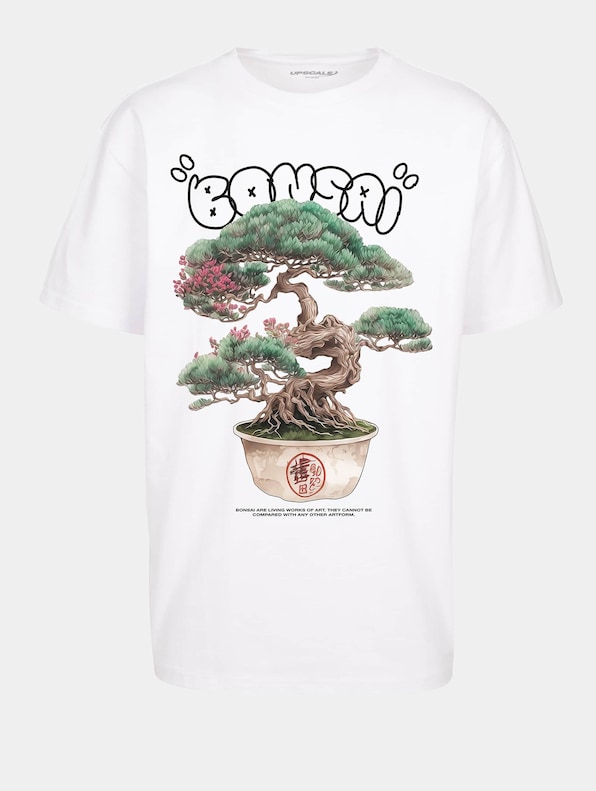 Upscale Bonsai Heavy Oversize-3