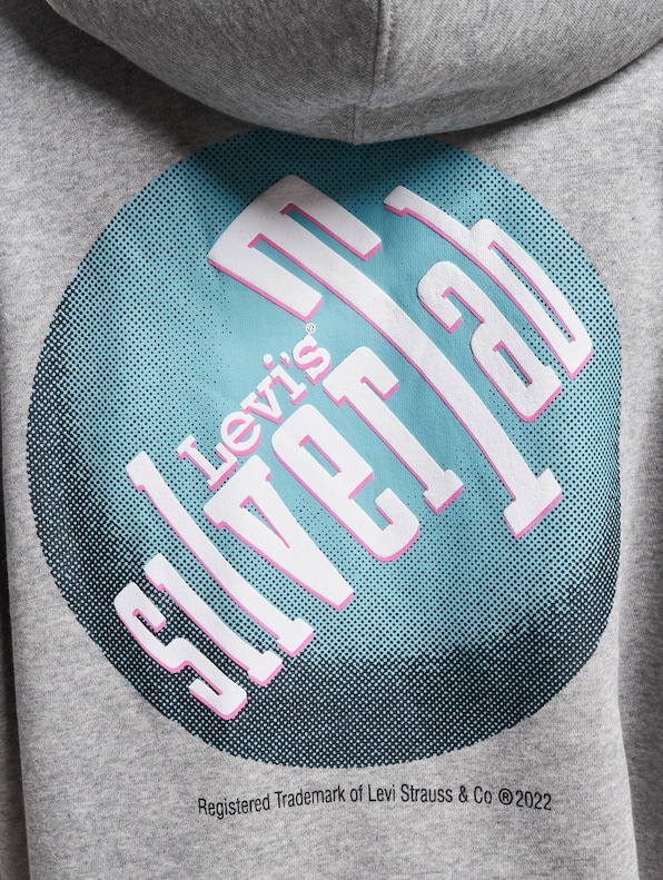 Levis Relaxed Graphic Hoodie-3