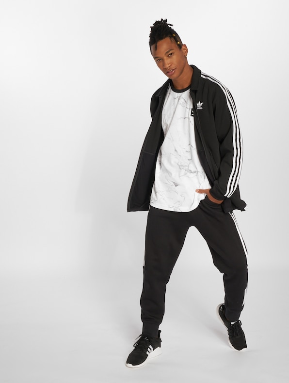 Windsor Tt Transition -5