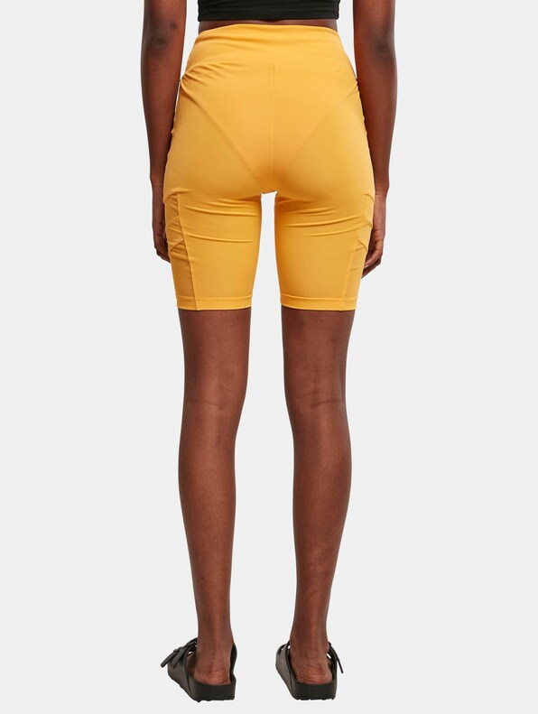 Ladies High Waist Tech Mesh-1