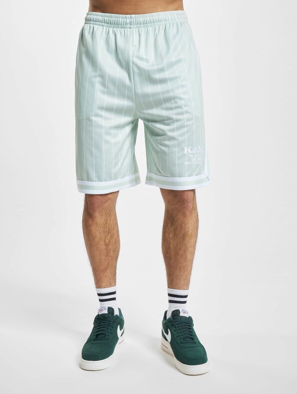 Retro Pinstripes Mesh -2