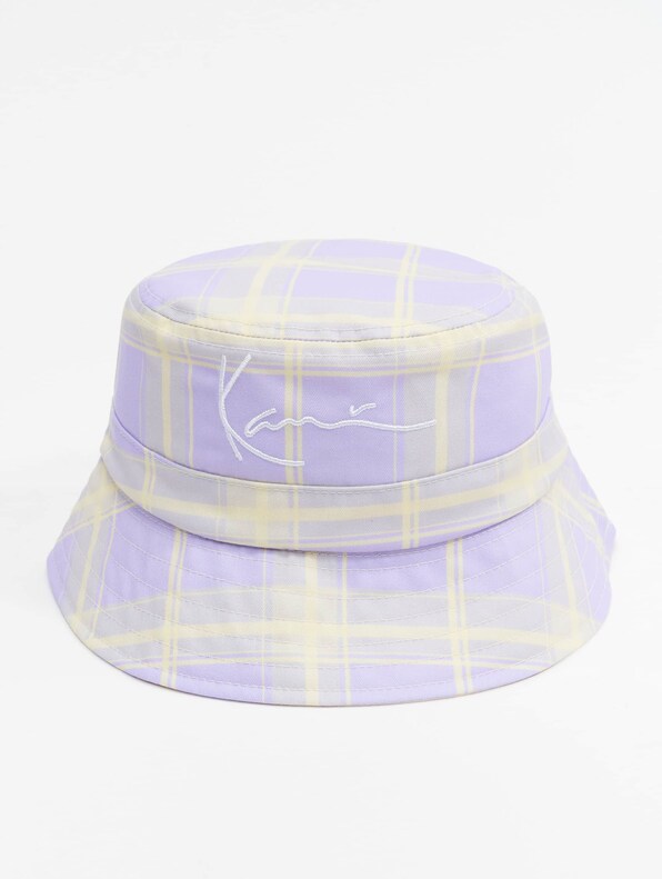 Signature Reversible Check -1