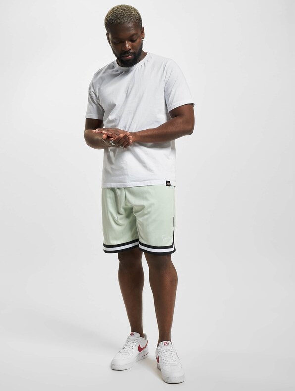 Small Signature Essential Mesh-5