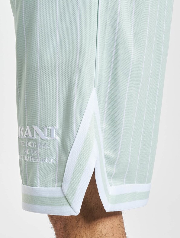 Retro Pinstripes Mesh -3