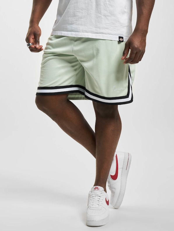 Small Signature Essential Mesh-0