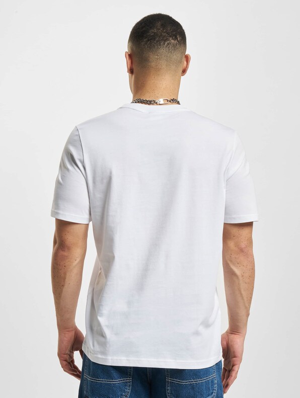 Classics Small Logo-1