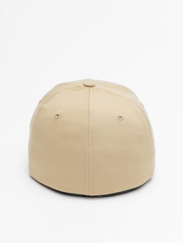 5 Panel-1