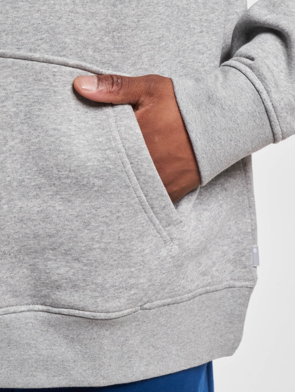 Levis Relaxed Graphic Hoodie-5